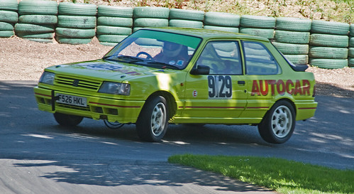 Peugeot 309 Gti 1988