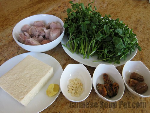 [photo-ingredients for watercress tofu dried oyster soup]