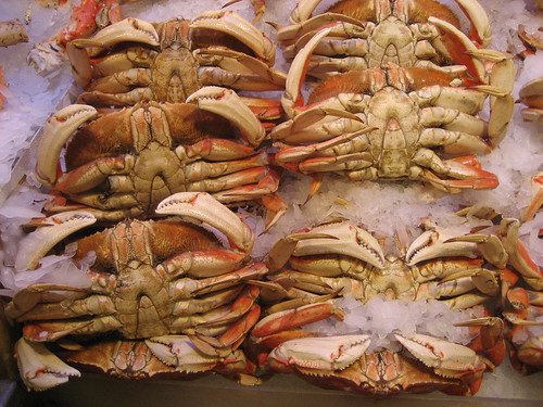 How To Boil A Dungeness Crab - Paleo Flourish