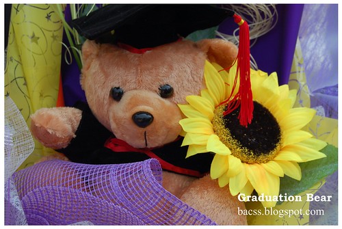 Graduation_Bear