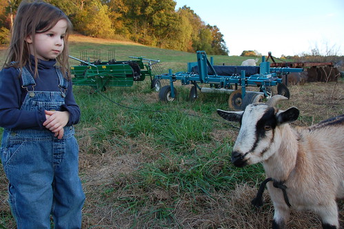 Farm Visit ::: checking out the goat