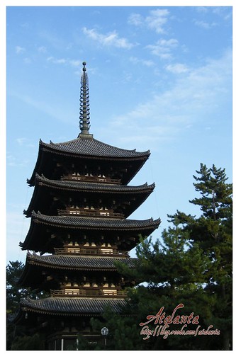 奈良興福寺五重塔