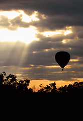 Early Morning Balloon Flight, Maasai Mara, Kenya