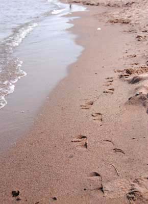 owens footprints across the beach