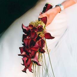 Red Calla Lilies Arm Bouquet