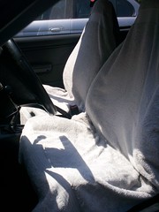 Sunshine on the Seat Covers