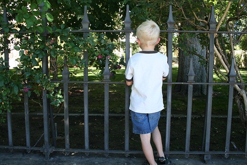 Sam at the Fence