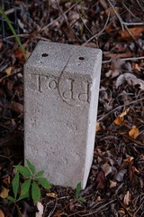 Todd grave footer