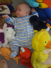 Ben and the stuffed animals