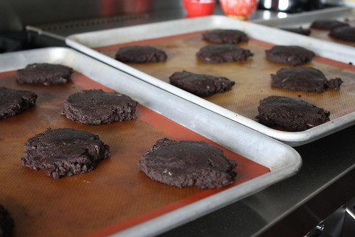 Chocolate and fresh mint cookies