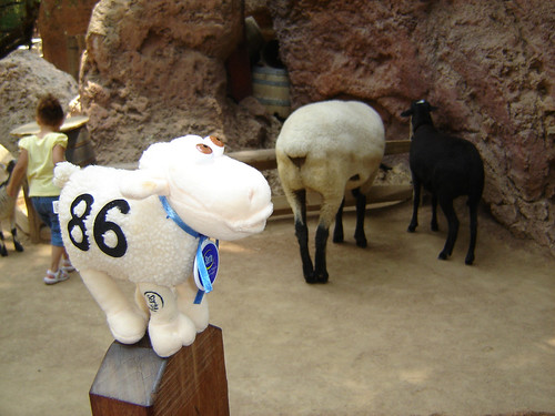 Wool E and the sheep