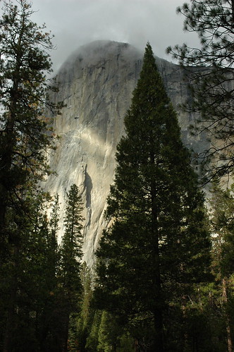 Perfect Yosemite Pine, Half Dome, clouds, sunshine, California, USA by Wonderlane