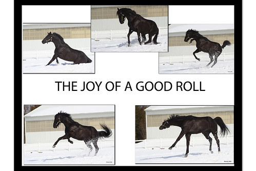 The Joy of Rolling
