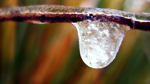 Frozen Droplet