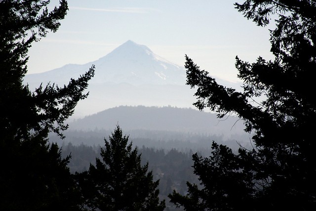 mt. hood from mt. tabor