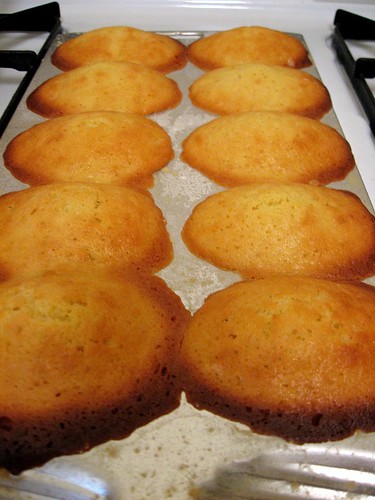 Madeleines in pan
