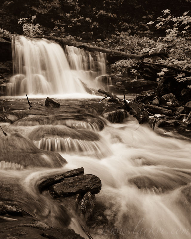 Waterfall (Sepia), Rickett's Glen State Park, Pennsylvania, June 2008