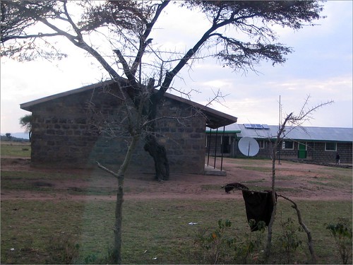 你拍攝的 2 Masai Mara - School。