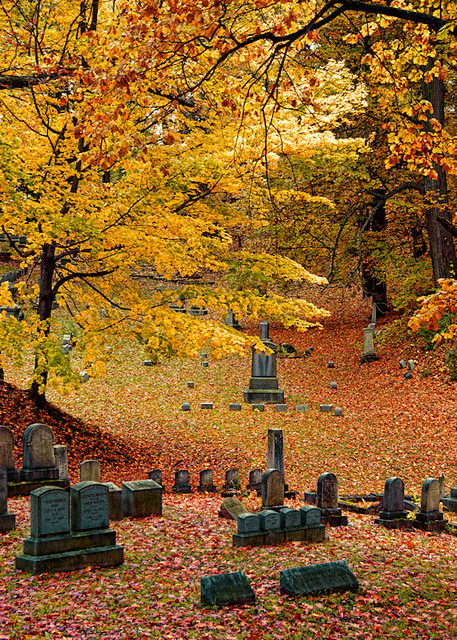 Fall in the cemetery by Judy Knesel