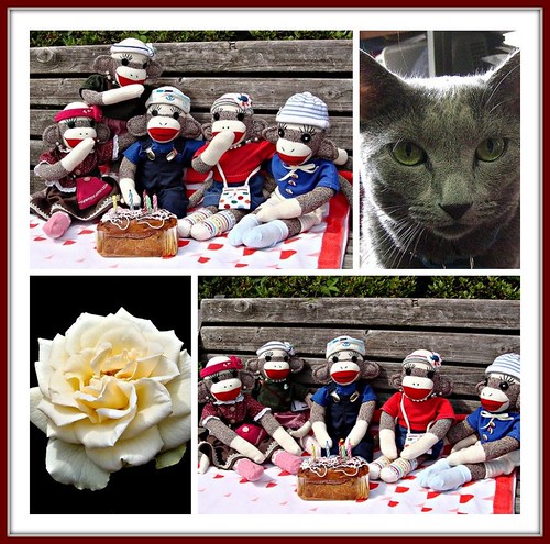happy birthday cat cards. Megumi says quot;Happy Birthday