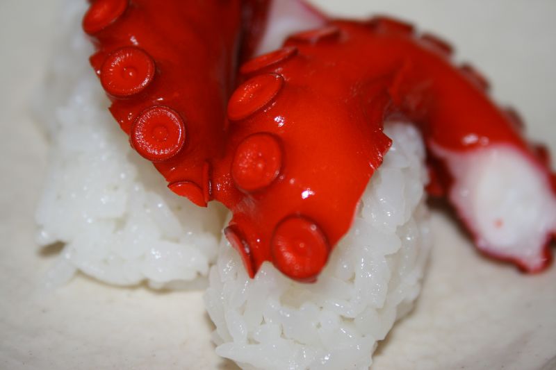 Young octopus sushi