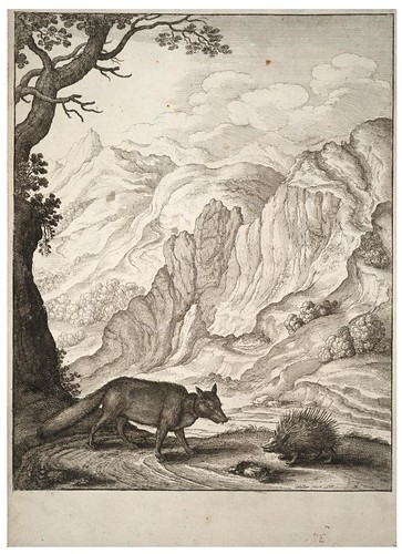 17 - El zorro y el puercoespín