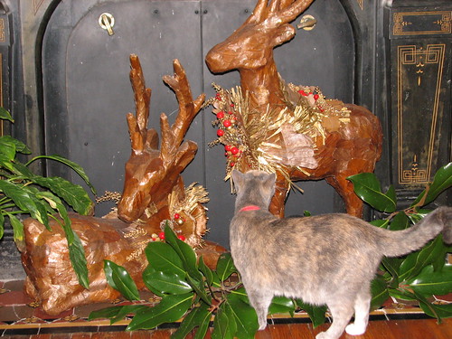 fireplace deer being investigated