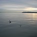 whidbey8
