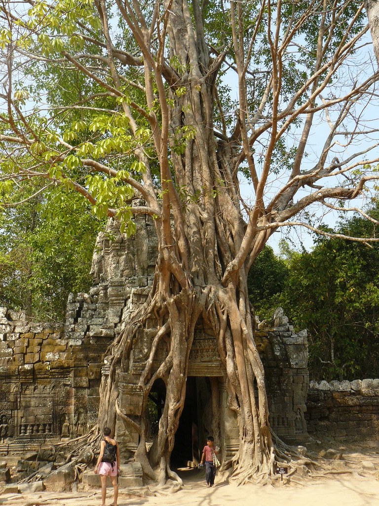 Cambodge - Angkor #138