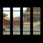 Forbidden City … Caged