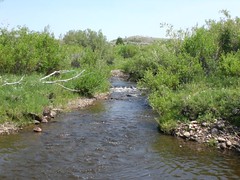 River on the Walker Ranch - 1