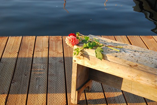 Flowers on the pier
