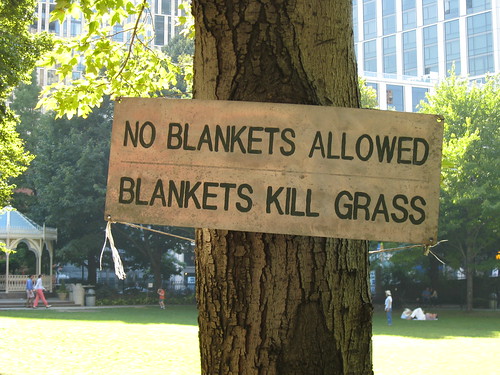 Blankets Kill Grass