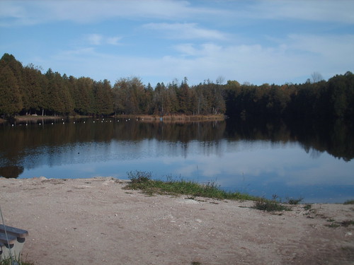 Pond at McGowan Falls
