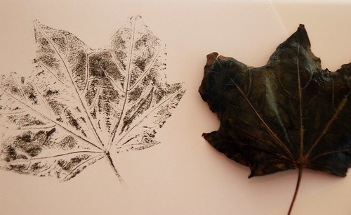 Leaf print