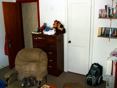 My wardrobe and the door to my room.