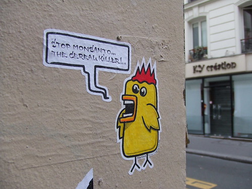 streetart aus frankreich _ die crazy-birds