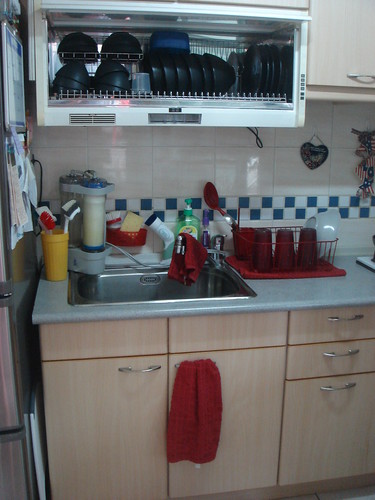 Kitchen Sink and Dish dryer