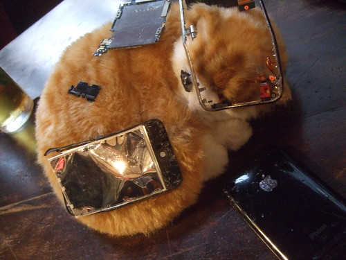 Kitty and his iPhone