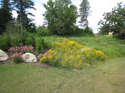 Lyman Lakes Flowerbed II