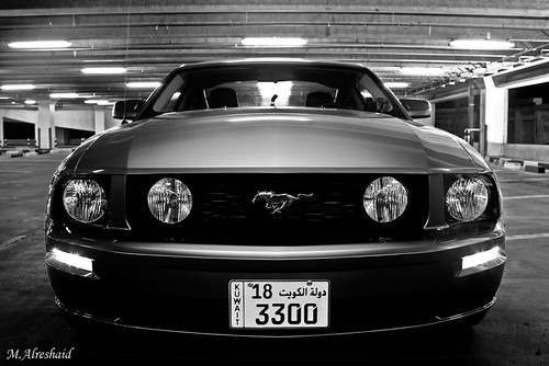 Mustang in Black &amp; White