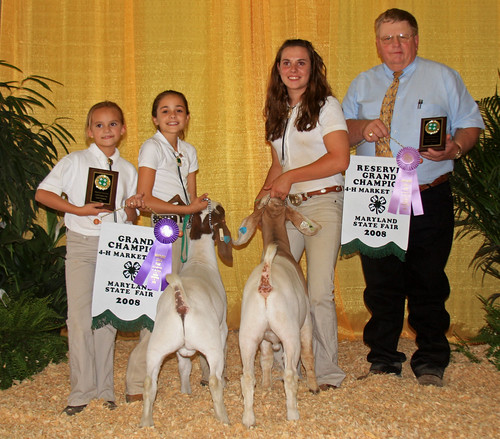 Grand and Reserve Champion Market Goats (L-R)Casey Bounds, MacKenzie Ridgely, Claire Bennett, and Frank Craddock