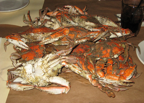 Obrycki's - Steamed Crabs