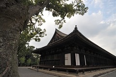 Kyoto 2008 - 三十三間堂(8)