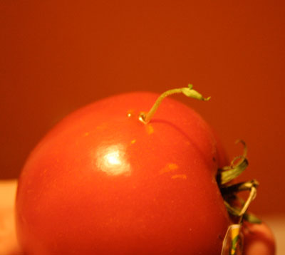 tomatothatwouldnotbestopped