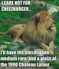 I care not for Cheezburger
