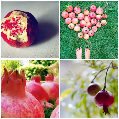 pomegranate love