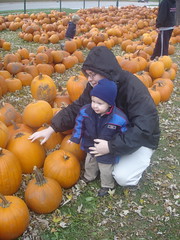 2008.10.25-Pumpkins.02.jpg