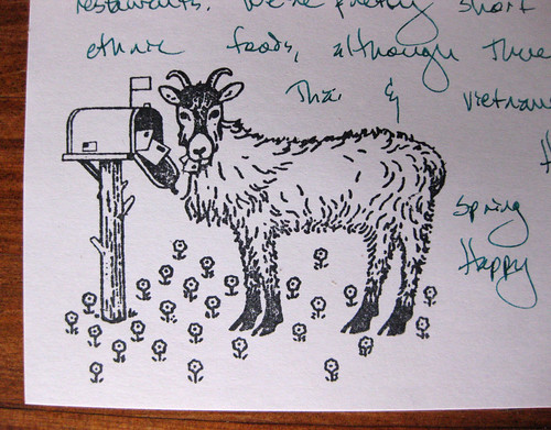 Goat eats mail