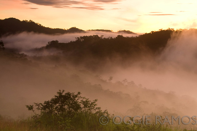 Ilocos Norte - Adams Lovers Peak Foggy Dawn